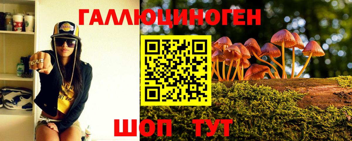 Галлюциногенные грибы Magic Shrooms Канск