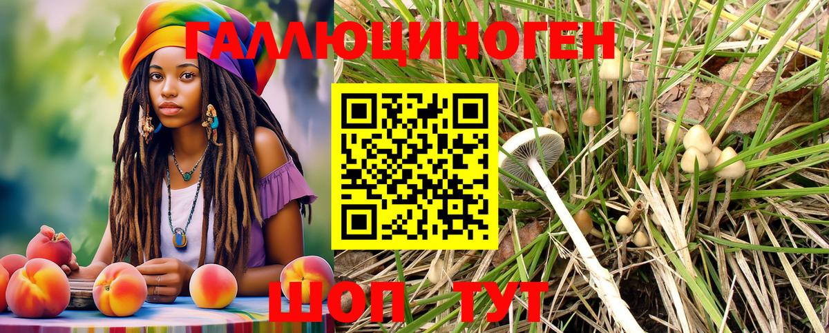Галлюциногенные грибы GOLDEN TEACHER  Вход с VPN  Канск 